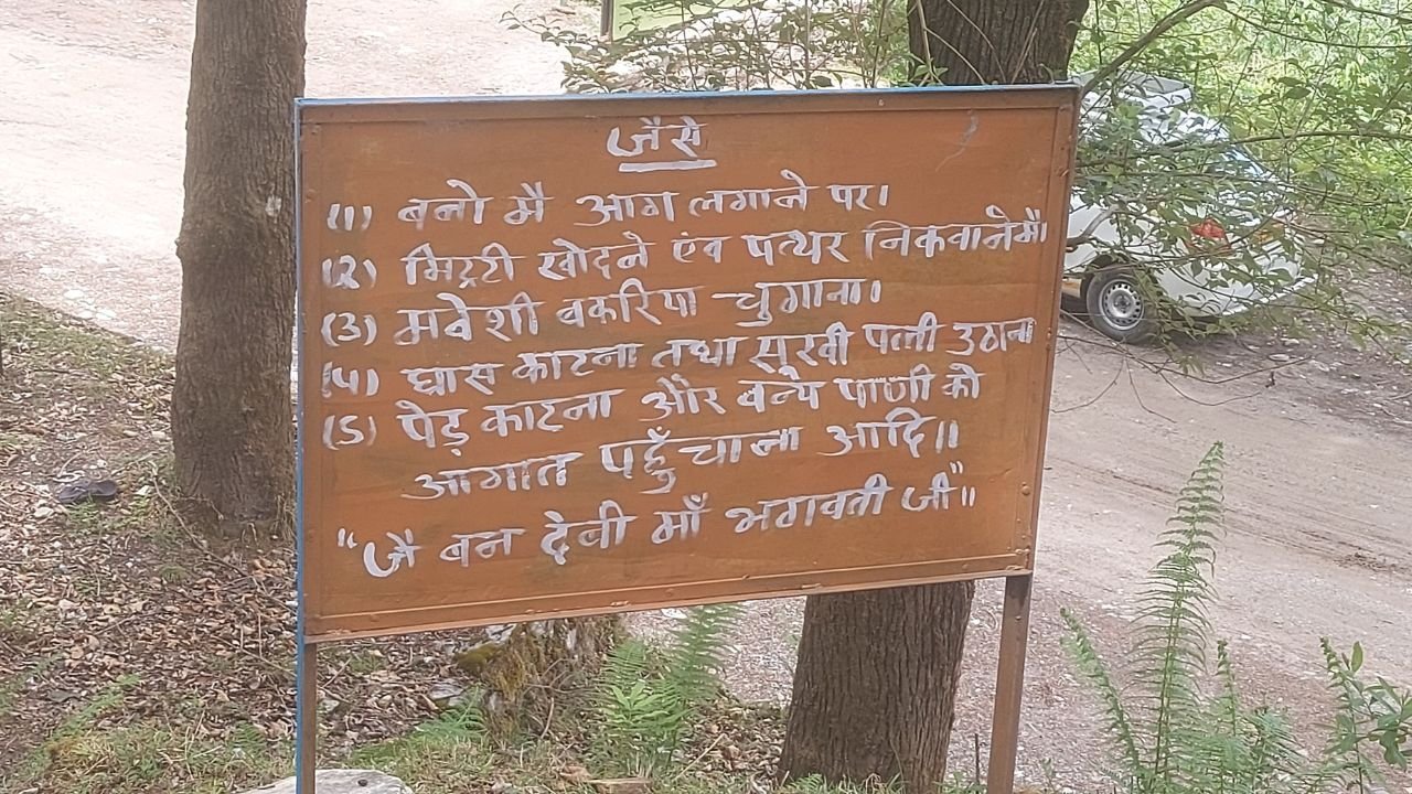 forest fire notice board