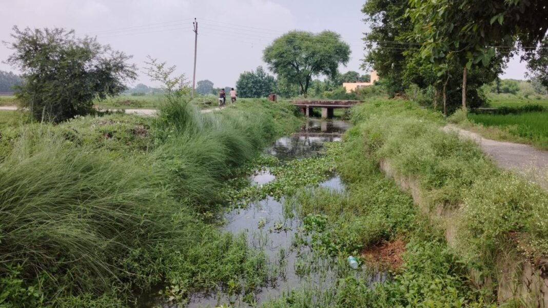 canal in mirzapur-gaonkelog